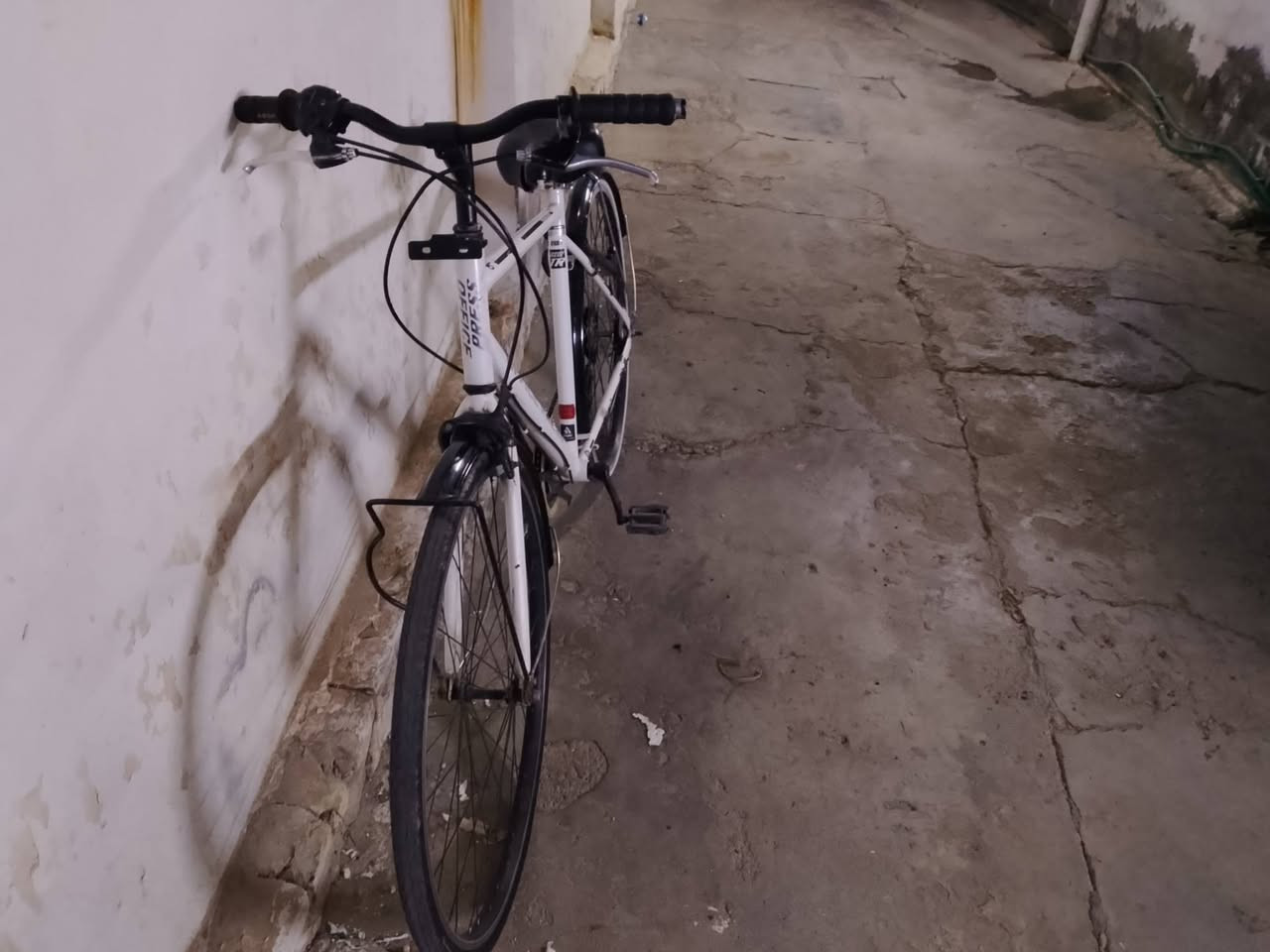 السلام عليكم باسكل حجم 27 رياضي كيورة بريكات شغالات الشه نضيفه باسكل مرتب السعر 85 وبي مجال بسيط حيل
***********
السلام عليكم باسكل حجم 27 رياضي كيورة بريكات شغالات الشه نضيفه باسكل مرتب السعر 85 وبي مجال بسيط حيل
