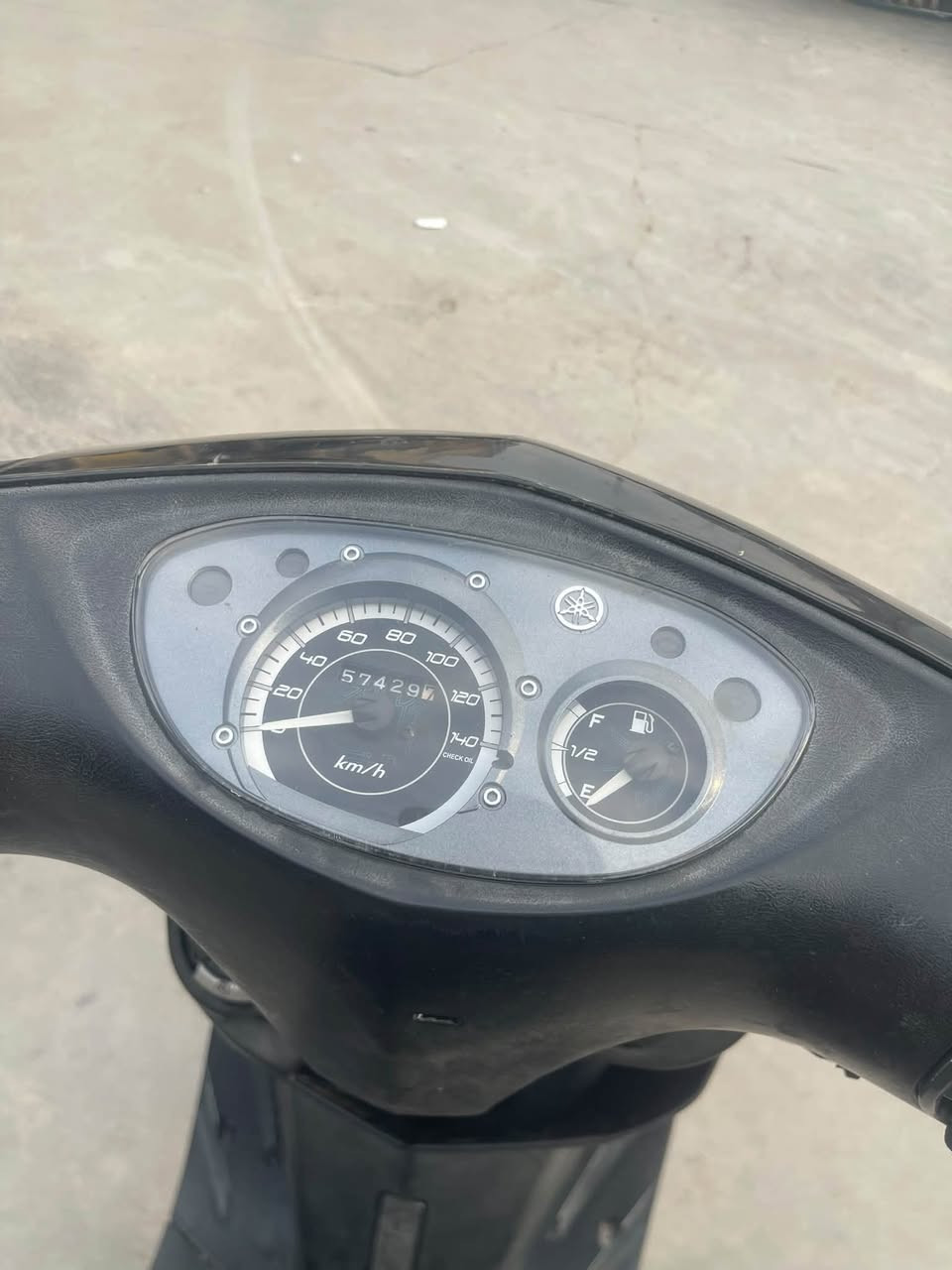 ماكس ثعلب • نضيف • محرك مكفول