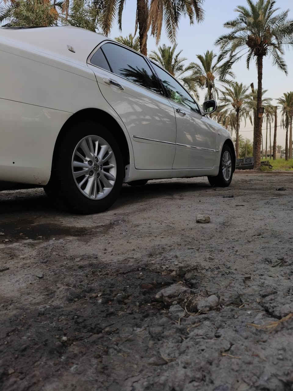 سلام عليكم
لبيع شاهينه 2004 رقم صلاح الدين مداور ثاني يوم شاصي 82
3دكم دواخل بيجي مري شفط تحكم ستيرن ومعروفه باقي مواصفات تبريد ثلج حداديه جديده سياره جاهزه 
كير مكينه كفاله بيهه بارد بجوملغ خلفي بدون دواخل 
العنوان النجف الكوفه     سعر 130 وبيهه مجال 
 ***********
