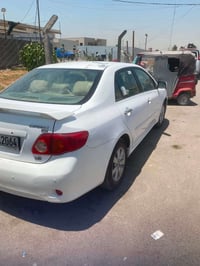كورلا خليجي • ٢٠٠٩ • بغداد المشتل