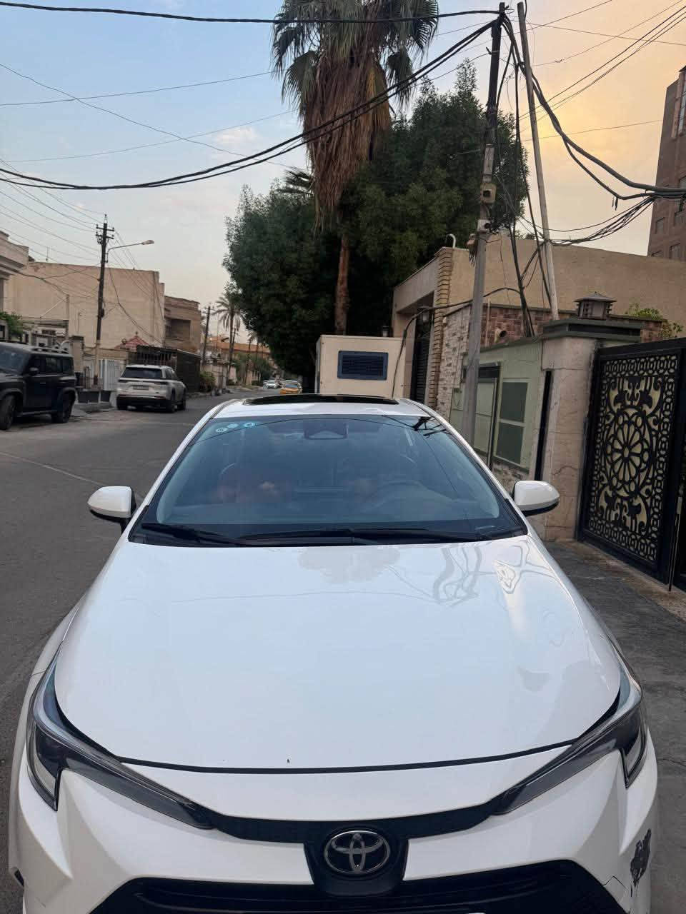 كورلا أمريكي • ٢٠٢٥ • رقم بغداد