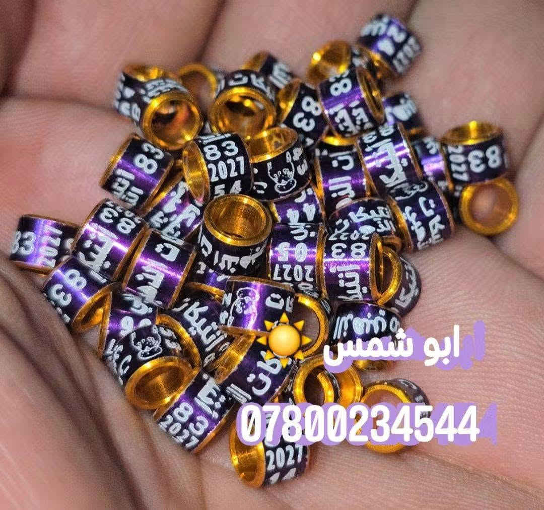 اركيلة • كواليت عالي • مقاسات متعددة