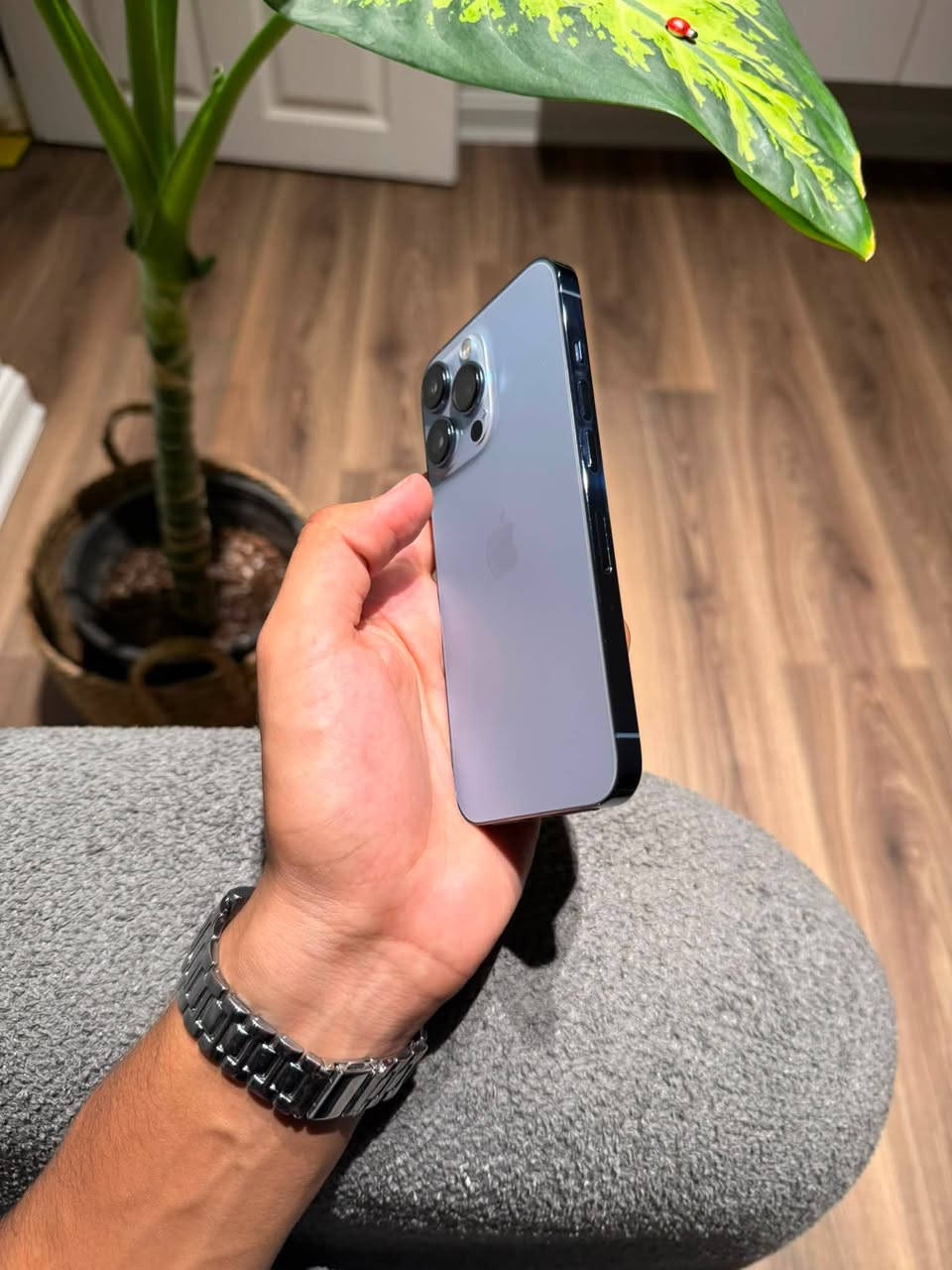 iPhone 13 pro

لون بحري -
ذاكرة 256 -
وتر بروڤ -
بطارية 100 -
أمريكي -
شاشة 3 خيارات -
فيس ايدي شغال -
نضافة 100‎%‎ -

الجهاز شخط مابي 

ملاحظة // فقط البطارية معلاية غير البطارية مابي ايشي 
وصرفة كلش طبيعي 

للاستفسار خاص او الاتصال -
☎️ ***********
