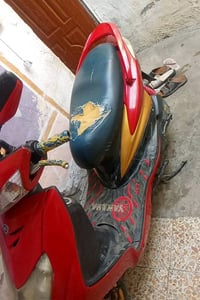 سكنس فحل • نضيفه • معدل