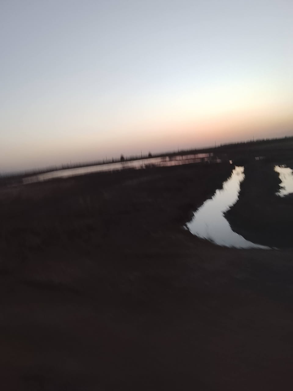 أرض زراعية للبيع مساحه 20دونم طابو زراعي تتوفر فيها جميع الخدمات مي سقي كهرباء وتبليط تبعد عن الشط الديوانية 800متر نحاله مستقله للقطعه مكان الارض السنيه  للاتصال أو الاستفسار ***********
