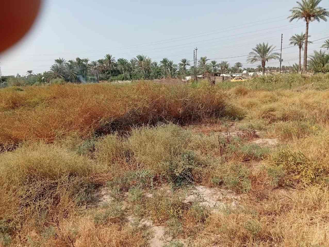 قطعة أرض • ٣٠٠م • شعب السريدات