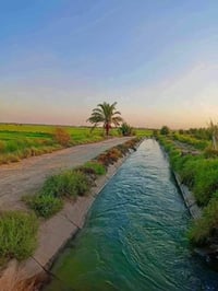 دوانم • سند ٢٥ • قطع سكنية