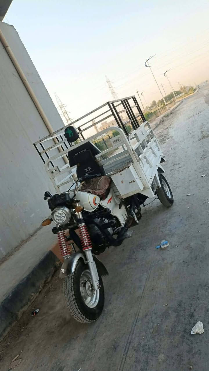ستوته اورجنال • ٢٠٢٢ • ٢٠٠