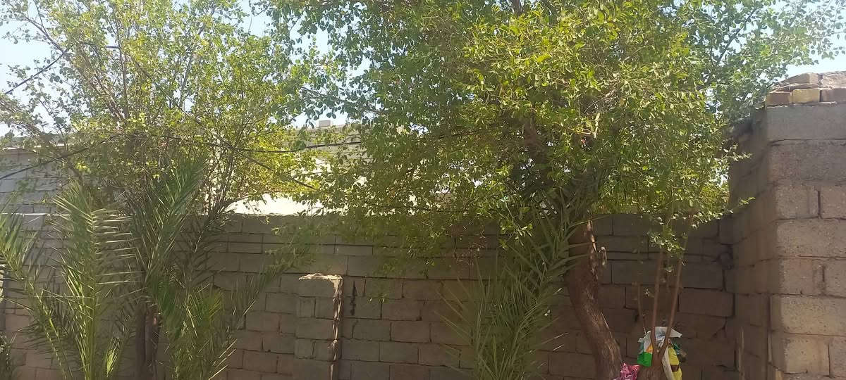 السلام عليكم بيت للبيع المساحة 200 العنوان ذي قار الرفاعي مقابيل بانزين خانة سمة الفرات السعر على رقم الهاتف ***********
