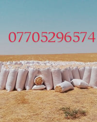 تبن حنطة • كونية ٦٠ • كونية ٥٥