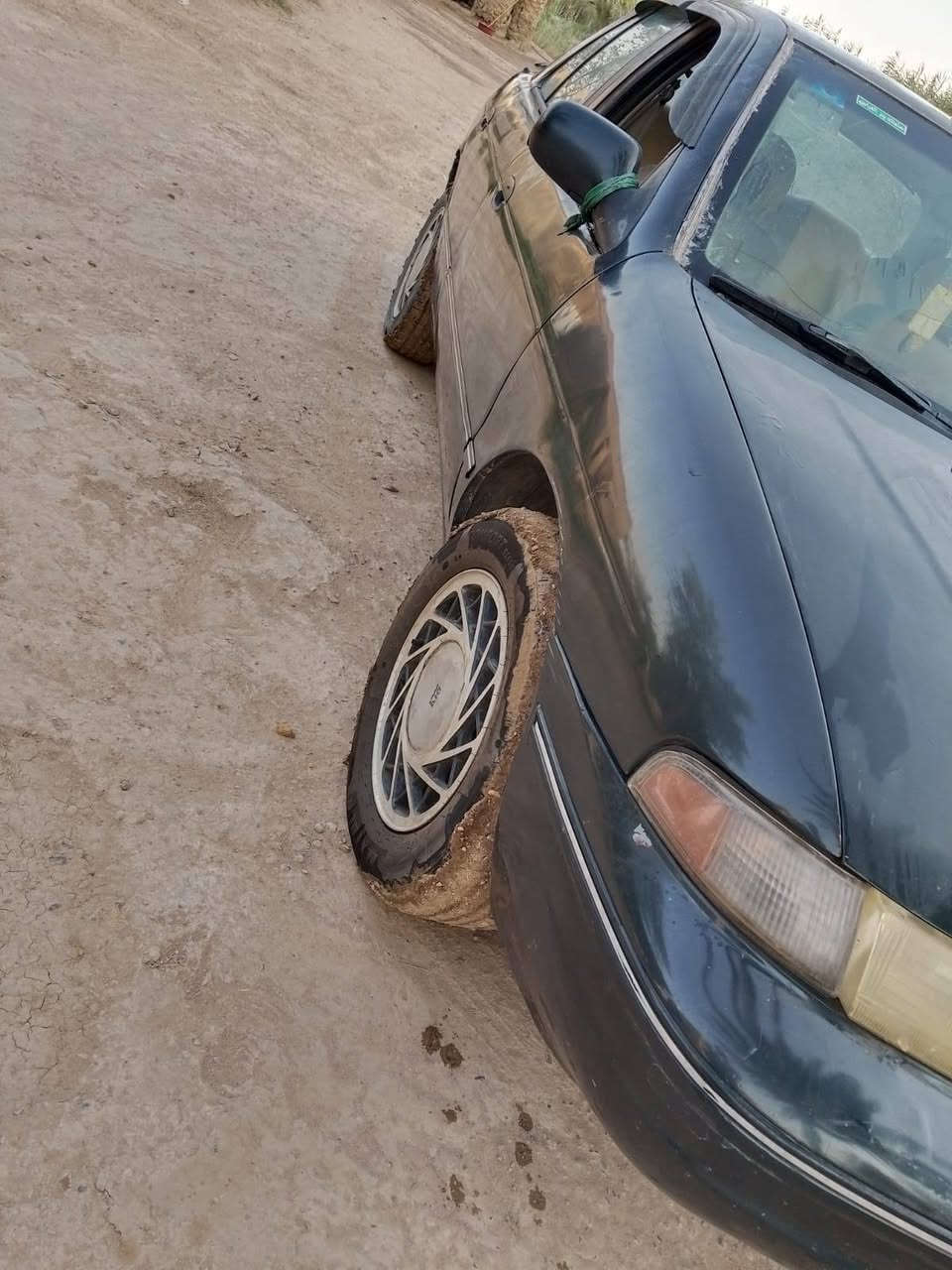 سيفيا البيع ٩٣بسمي تحويل مباشر السعر ٢٧ وبيه مجال بصيط مكان بابل مشروع المسيب***********
