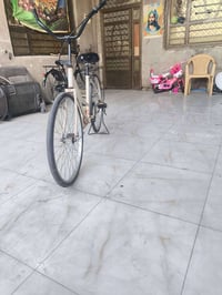 باسكل • بي دي • موديل ٢٠