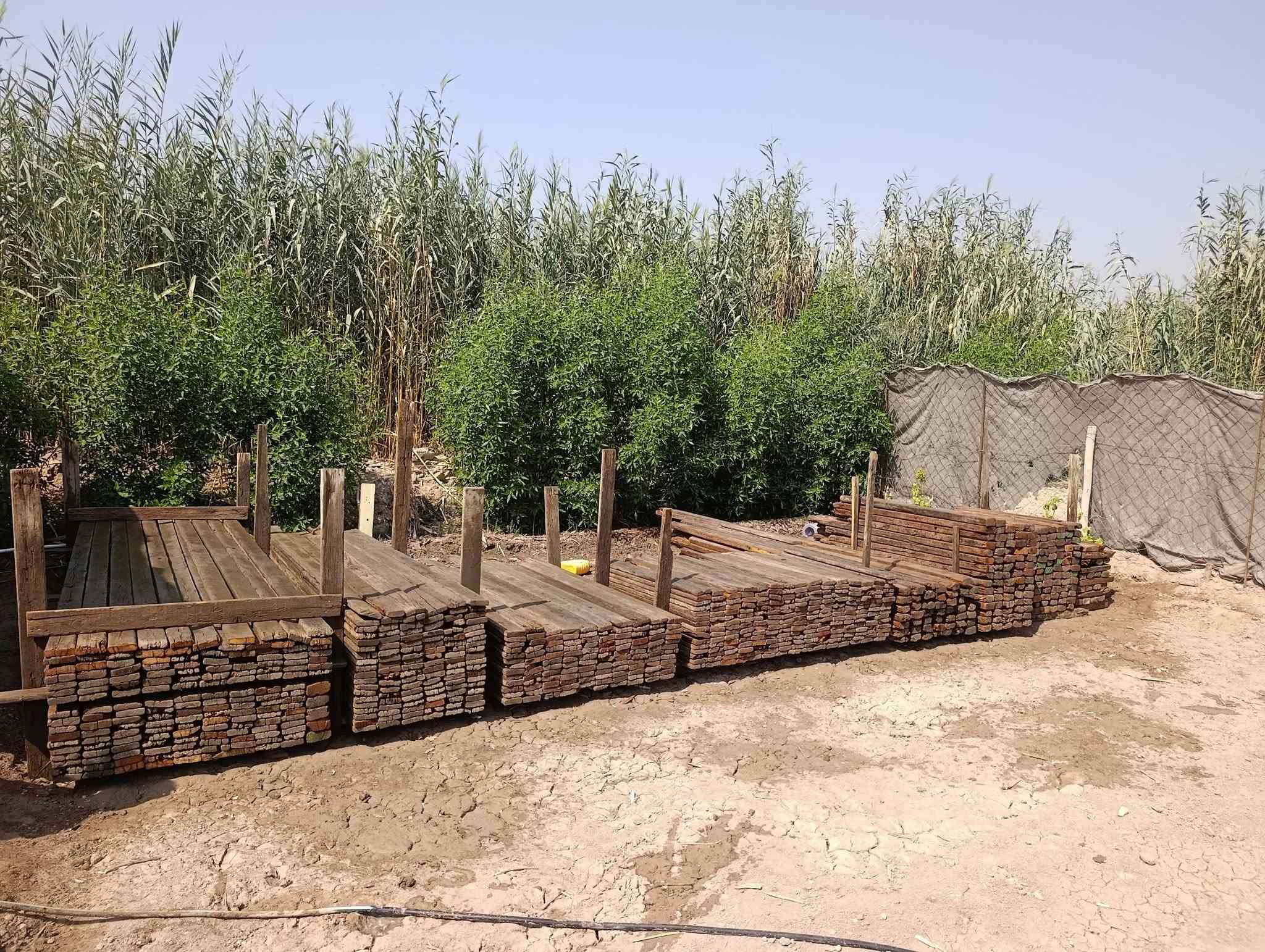 قالب خشب للبيع 6مكعبات يدك 120متر 
العنوان بابل حي العسكري للاستفسار 
***********
