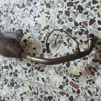 صالنصه • سكنس • دبل بوشه