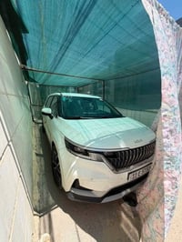 كارنيفال ٢٠٢٣ • ٩ راكب • بنزين وغاز