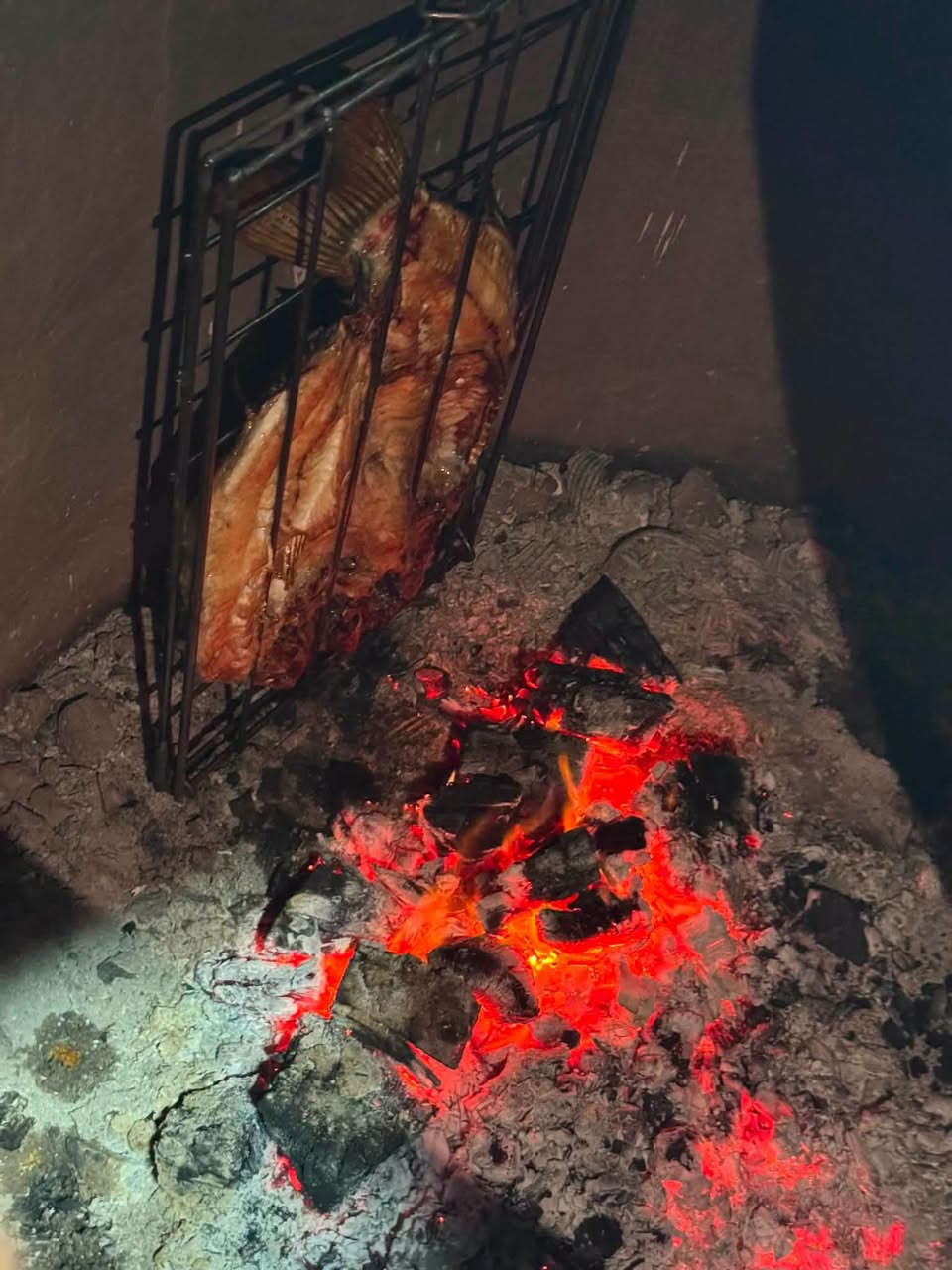 اسماك الناعور انطلقت بشي مميز السمك المشوي بتنور الحطب و مثل ما تشوفون زبائننا الكرام اللون المميز و الطعم الفريد و السعر المناسب بالإضافة الأطباق المقلية مع التمن الأحمر و الصوص الخاص باسماك الناعور وفرنا الكم اغلب أنواع الأسماك الكطان و الشبوط و الكارب و الزبيدي و السلمون البرتقالي و الحمري و الكثير من الأنواع البحرية و النهرية 🔥🔥🔥🔥
#يتوفر خدمة التوصيل
***********
***********
عنوان المطبخ الأنبار هيت شارع حي المعلمين قرب ماركت اليوسف
عنوان بيع الأسماك الطازجة الأنبار هيت شارع الكورنيش مجاور ماركت الشامي
