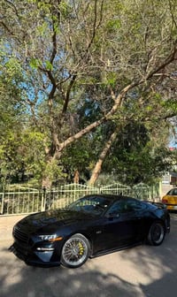 موستنك GT5000 • ٢٠٢١ • حادثة خلفية