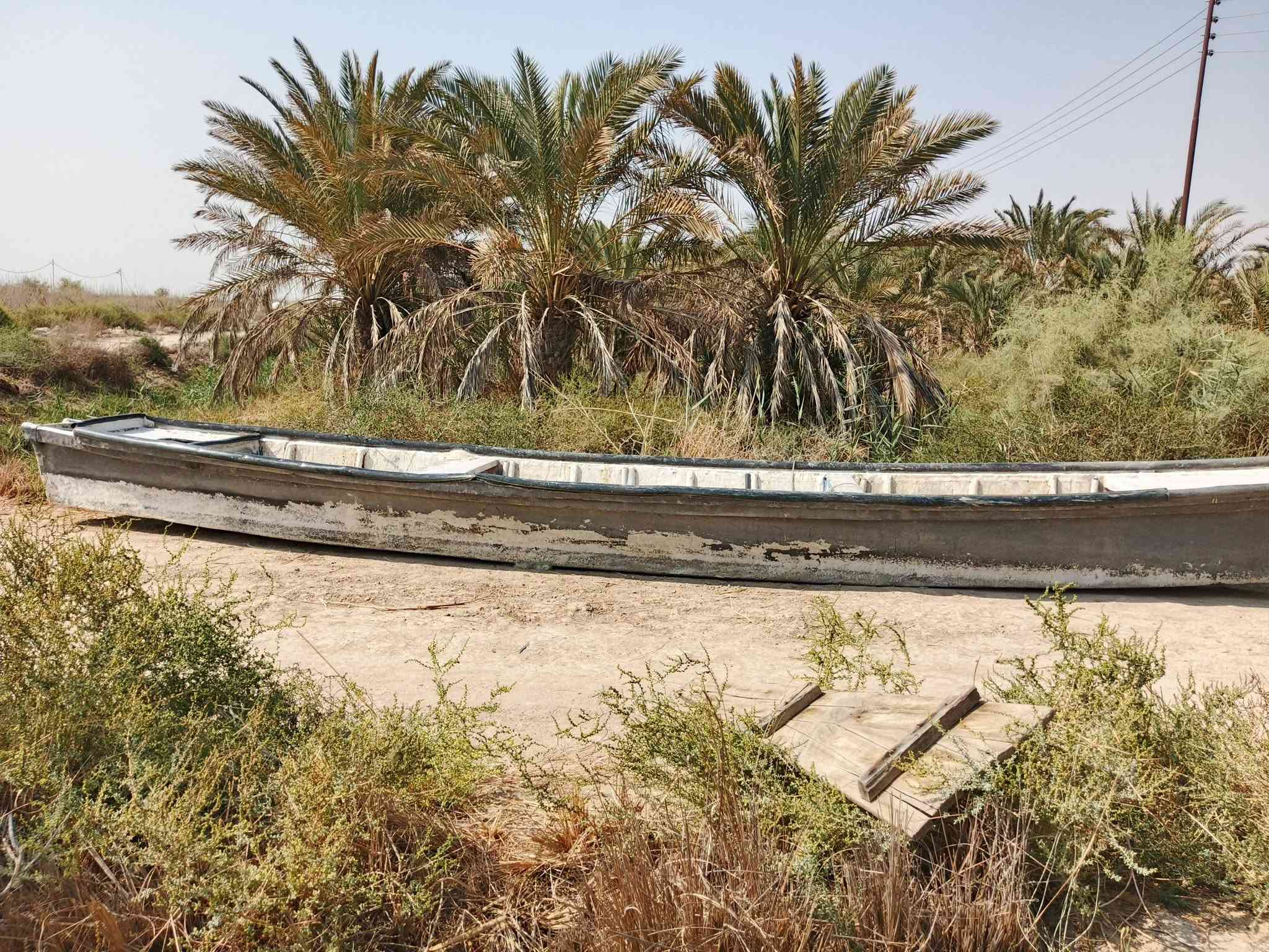 سلام عليكم بلم قطع فايبر الطول 15 ذراع والعروض 95 العنوان البصرة الهارثة المسحب قرب مدرستي رفح البتداية سعر 750بية مجال قليل ***********
