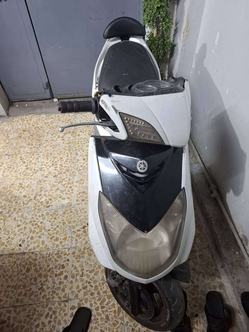 سكنس فحل نوزل خطين
دراجه حلوه شلعه ومعدل كهربائيات شغاله
بيه تزويد كلجات قويات كلش صالنصه صوته حلو
مكينه كفاله لا نضوح ولا تبخير
سعره 550 بيه مجال بسيط مكان بغداد الطالبيه قرب فلكه 83 تواصل ***********
