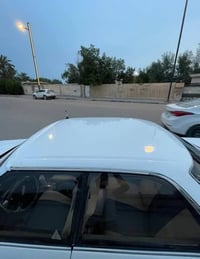 مارك كصيف • ٢٠٣٠ • ابو الخصيب