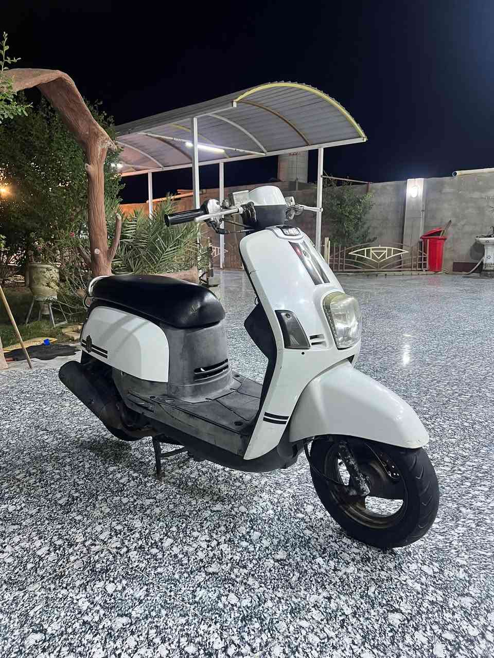 ماكس بوليسي • حاويه • كفاله