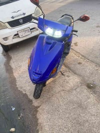 فراشة • للبيع