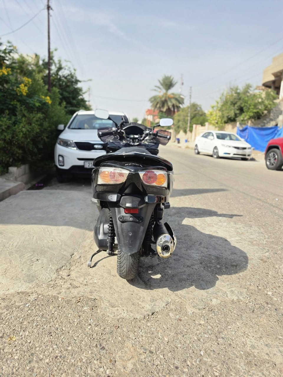 فورزه • زينون • ٣انظمة