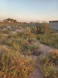 كاع دونم للبيع سند 17الكرغوليه شارع البانزين خانه الغاز مقابل نادي الف...