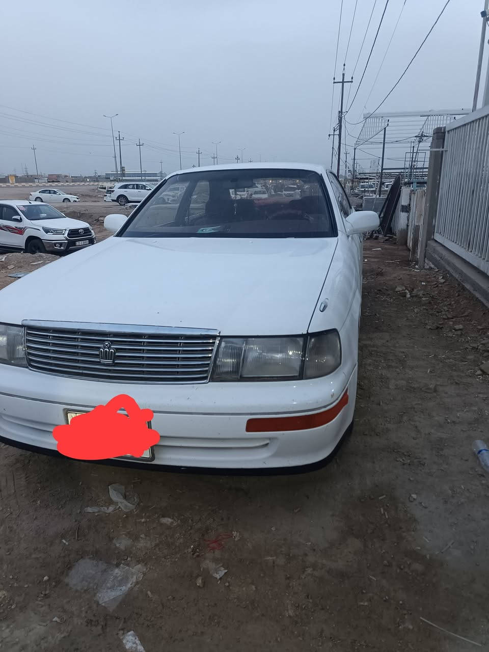 بطة • مكفولة من الكص • معرض البقيع