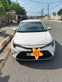 كورلا • ٢٠٢٠ • رقم اربيل