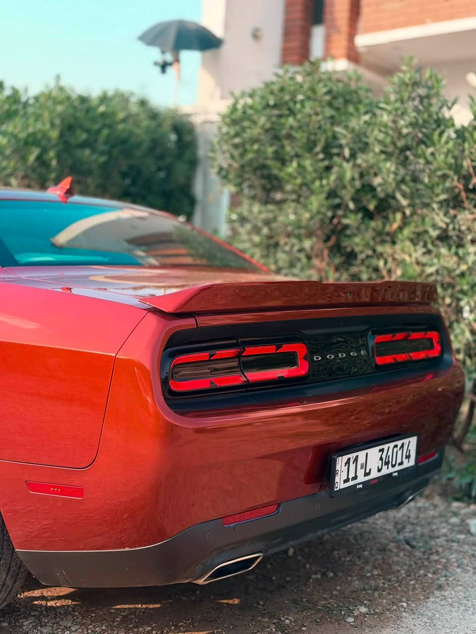 السلام عليكم
جاالنجر جي تي ٢٠٢٢ 
تو ويل
Chalenger GT 2022
نظام السيارة سبورت + سوبرتراك
باك السيارة بوضع
الشركة وبريحة الشركة الضرر
موضح جاملغ فقط بقية السيارة مكفولة من كل ضرر تبريد
مكينة كير مكفول
(( بدووون ايرباك ))
لون مميز مشمشي

نظام مكابح المطور سوبر تراك
باك
شاشة كبيرة ملى
سستم صوت اللباين
بصمة ابواب و صندوق وترحيب
شفتات ستيرن
تشغيل عن بعد دفع خلفي تو ويل
تبريد قطعتين
بصمات ثنين موجودة 
ماشية 44 ميل 

باسمي تحويل مباشر ثاني
يوم.
السعر /229 وبيها مجال حك الجية 
*********** واتساب /خاص
