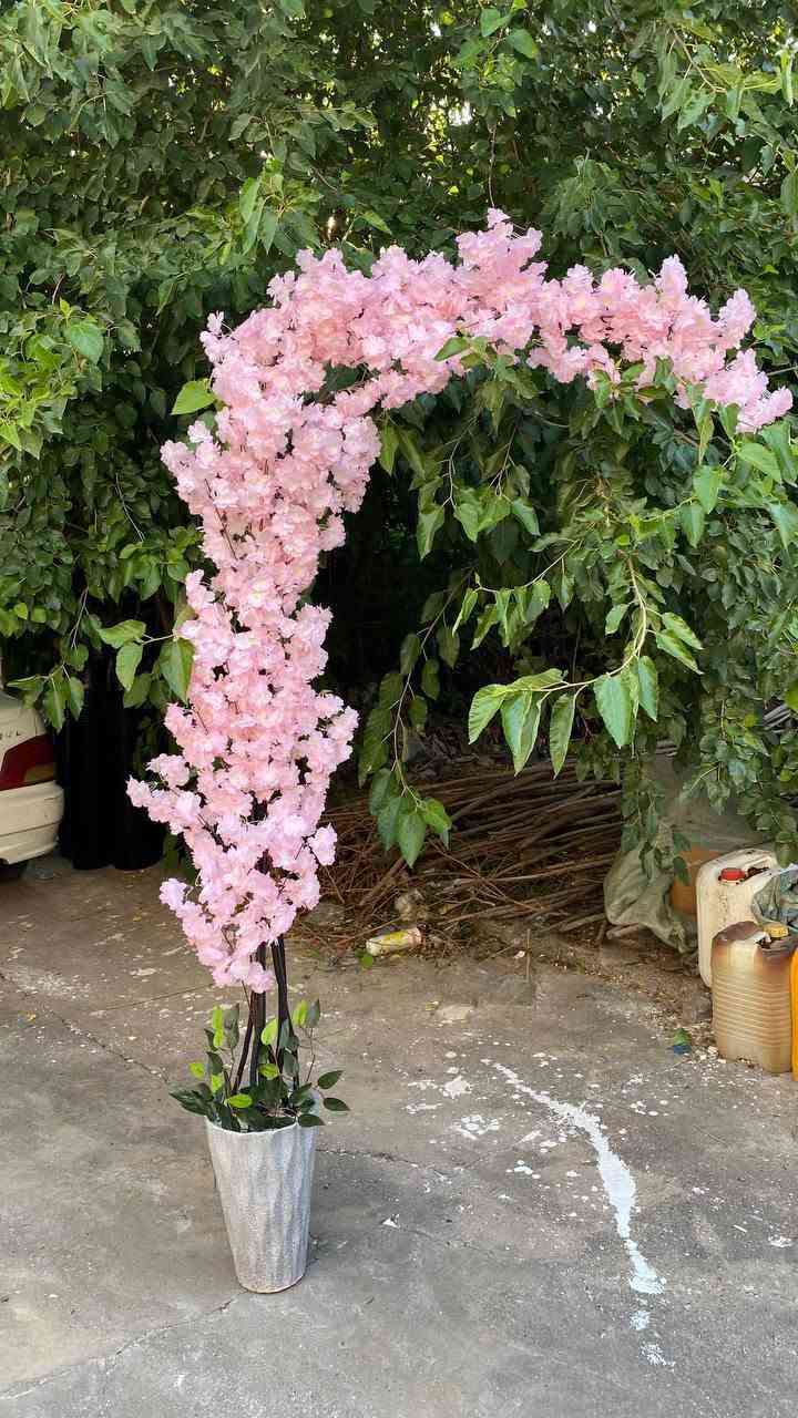 السلام عليكم اش يعجبك راسلني واتساب ودلل *********** اسعار معمل جمله الجمله ومفرد ابسعر الجمله

