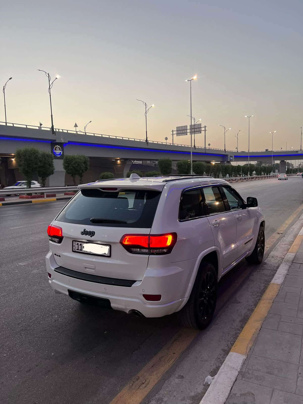 شيروكي • ٢٠١٩ • IAA