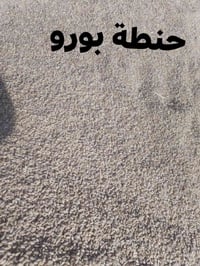 للبيع حنطة بورو / وحنطة بيزانزو عربية  المكان ديالئ العضيم للاستفسار ا...
