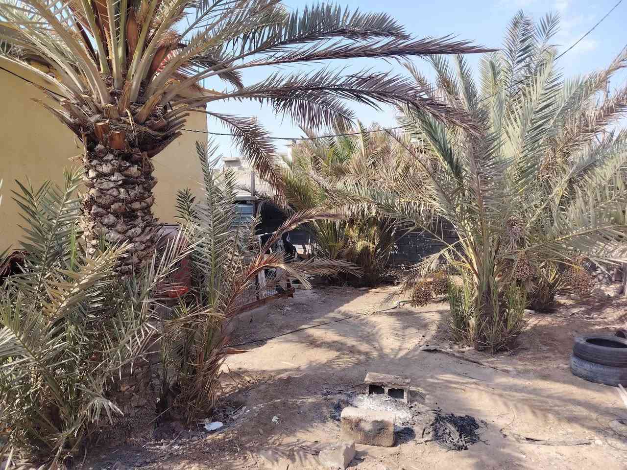 السلام عليكم منزل للبيع في ابو الخصيب منطقة ابو الجوزي المساحة الكلية 470 متر ومساحة بناء البيت 140 متر يحتوي عل غرفتين نوم + ديوانيه + مطبخ + صاله + حمام داخلي وخارجي أرض زراعي سند 25 تحويل مباشر باسم المشتري السعر 110 مليون للاستفسار عن تفاصيل اخرئ للاتصال + واتساب *********** .
