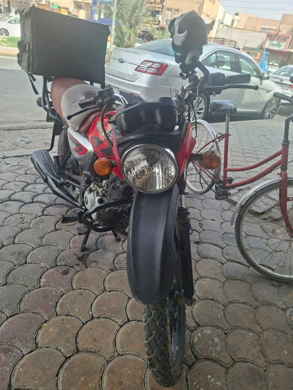 بوكسر • جبلي • ٢٠٢١