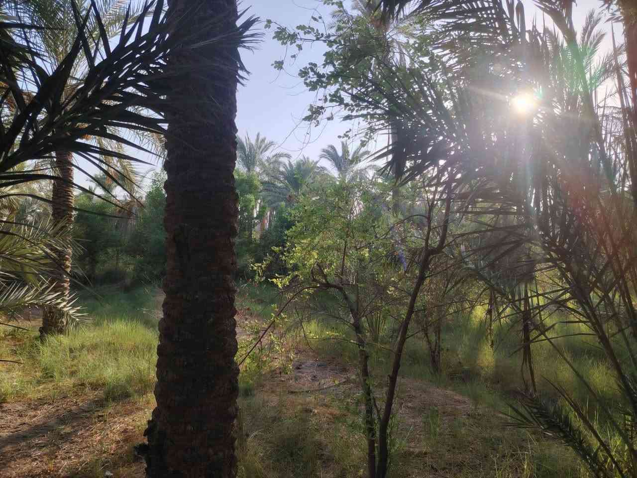 من رخصة الادمن 
للبيع...للبيع....للبيع 
دونمين طابو زراعي سند ٢٥تحويل مباشر شاطئيه بموقع مميز جدا  قرب معمل السمنت للاستفسار الاتصال على الأرقام 
***********
*********** او مراجعة مكتب دلهي مقابل مطعم البهار حي المعلمين الثانيه

