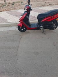 كربلاء • حي النصر • وتس اب