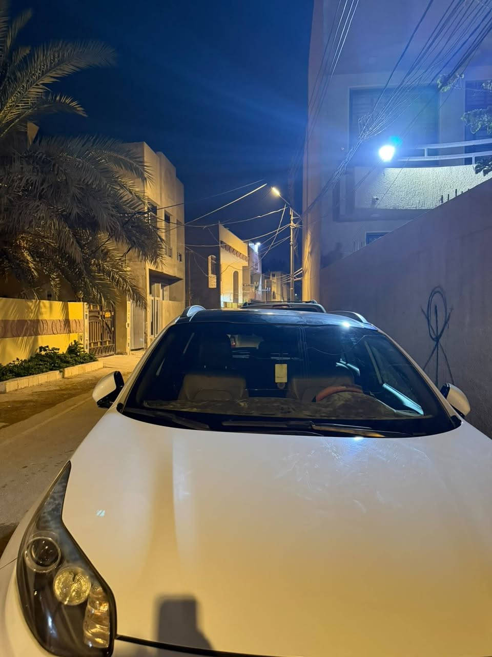 سبورتج ٢٠١٩ • ويل ١٩ • بانوراما