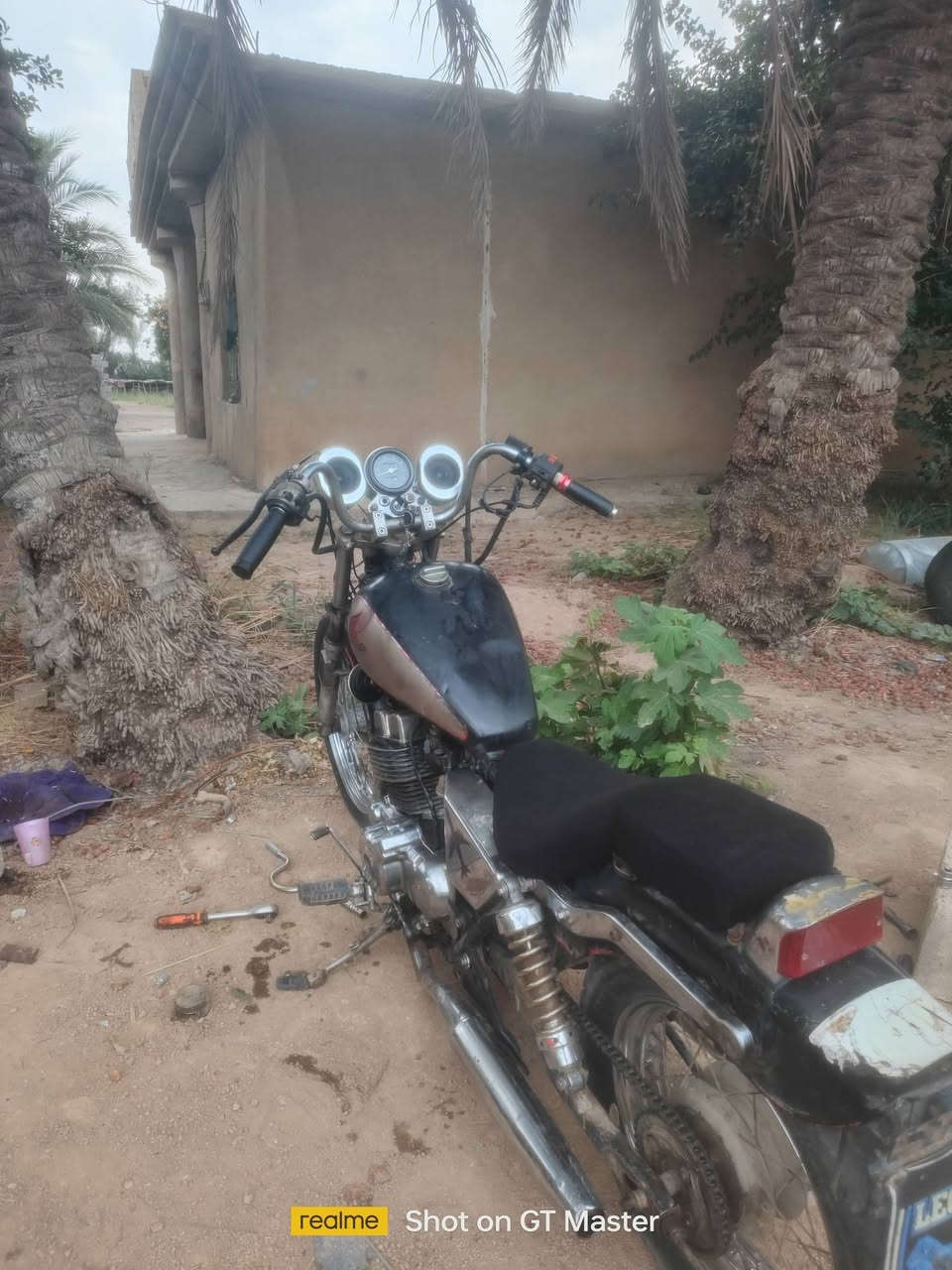 ريبل كلاسك • هوندا • مراوس