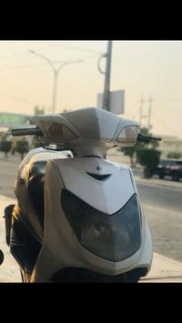 سكنس فحل • مكفول • عامريه