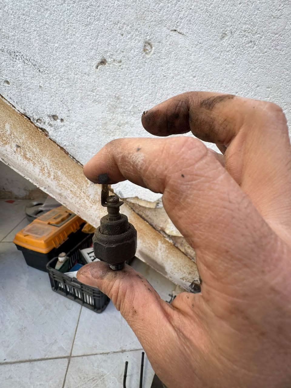 السلام عليكم غراض اسبكترا قيم واخذ مكاني كربلاء ***********
