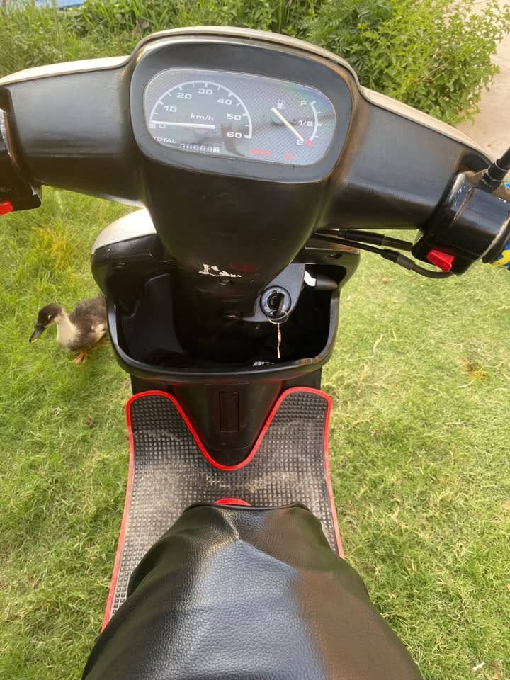 شباب درجه لبيع بوتين 

محرك بشرط 
شاصي بشرط
كهربايات بشرط 

درجه حيل نطيف 

باس بي صوت بل اكسل 
وسلف يشتغل بس يريد رجز

سعر 400بي مجال
مكن سهل نينوى 
رقم ***********
