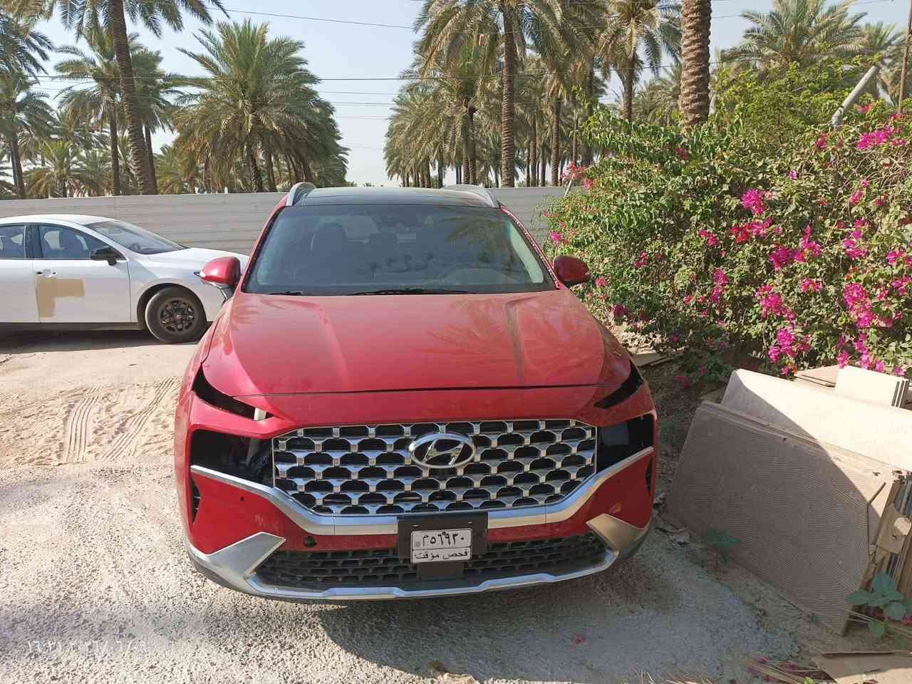 سنتافيا ٢٠٢٣ • بنوراما • بدون رقم