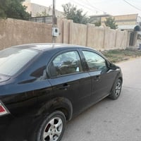 افيو • ٢٠١٤ • بابل مسيب