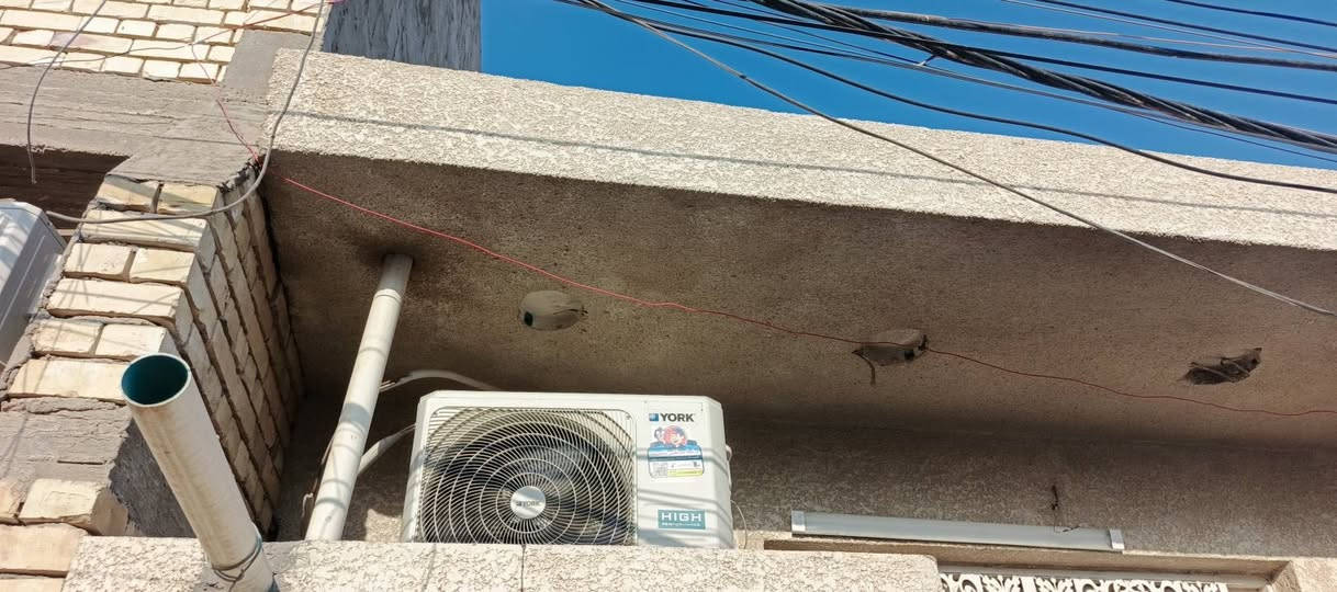 السلام عليكم سبلت ٢طن ماركه يورك الغنيه عن التعريف سبلت نضافته ٩٠ بلميه بيع مستعجل السعر ٥٥٠ وبي مجال للشراي رقم التليفون ***********
