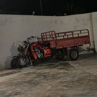 ستوته • دايون • بدون وراق