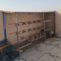 عرض ٣م • ارتفاع ١م٧٠ • سندويج جديد