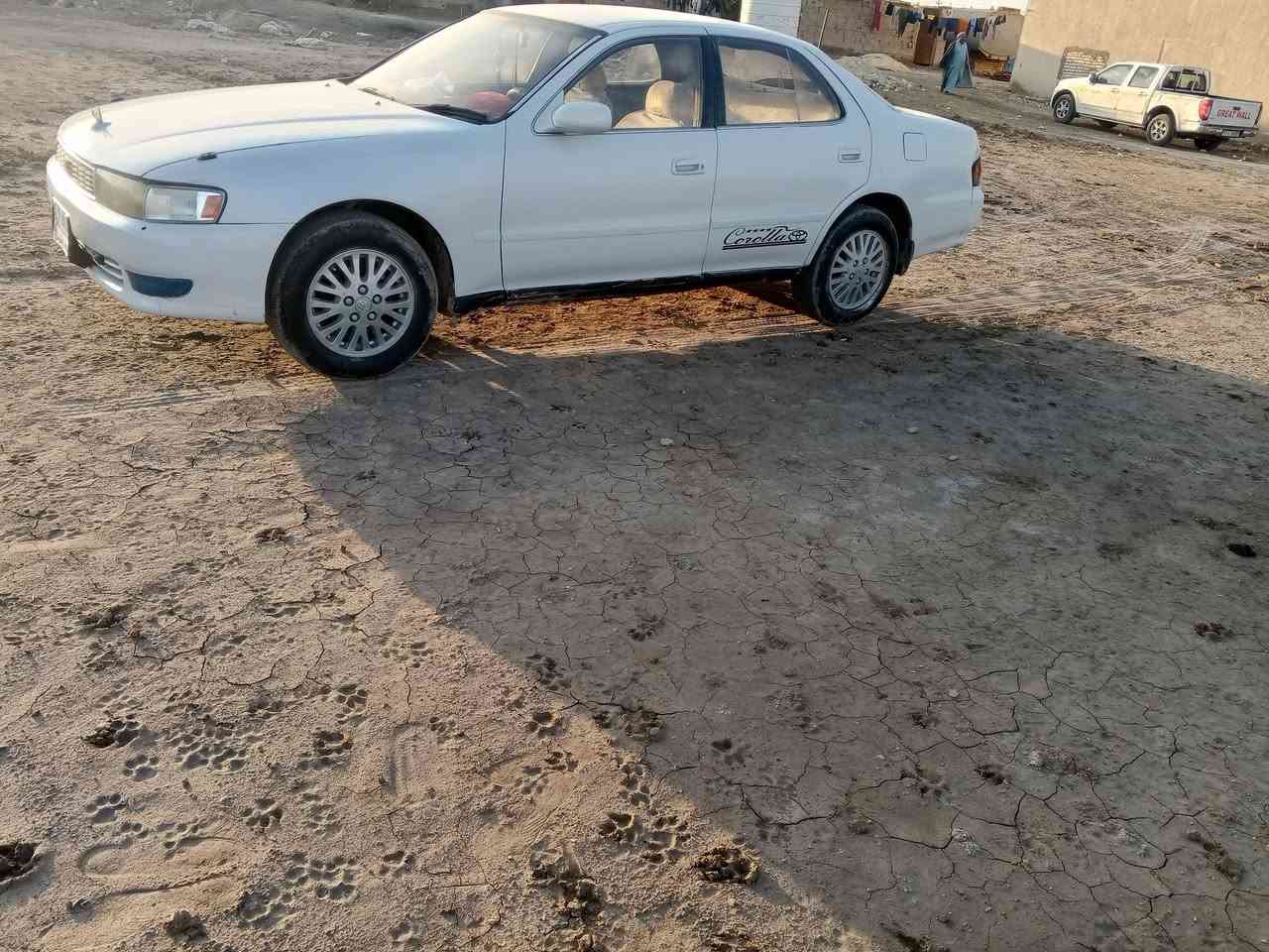 سلام عليكم كرسته موديل 93نضافه فول جاهزه حداديه تخم تأثير تبريد ثلج العنوان ذي قار قلعه سكر السعر 50 وبيه مجال الاستفسار ***********
