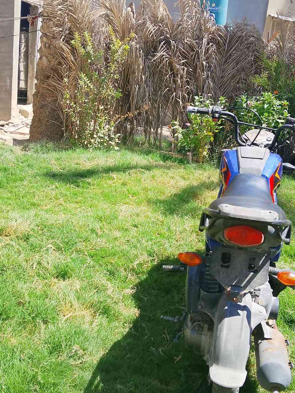البيع موديل 22 سعر 325كله شغال دراجة فول رقم ***********
ابو سراج ال شمري
